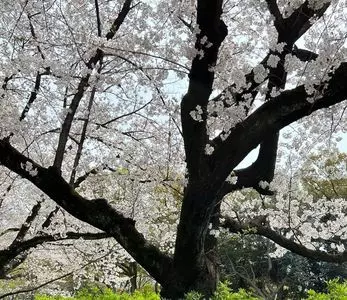 名城公園
