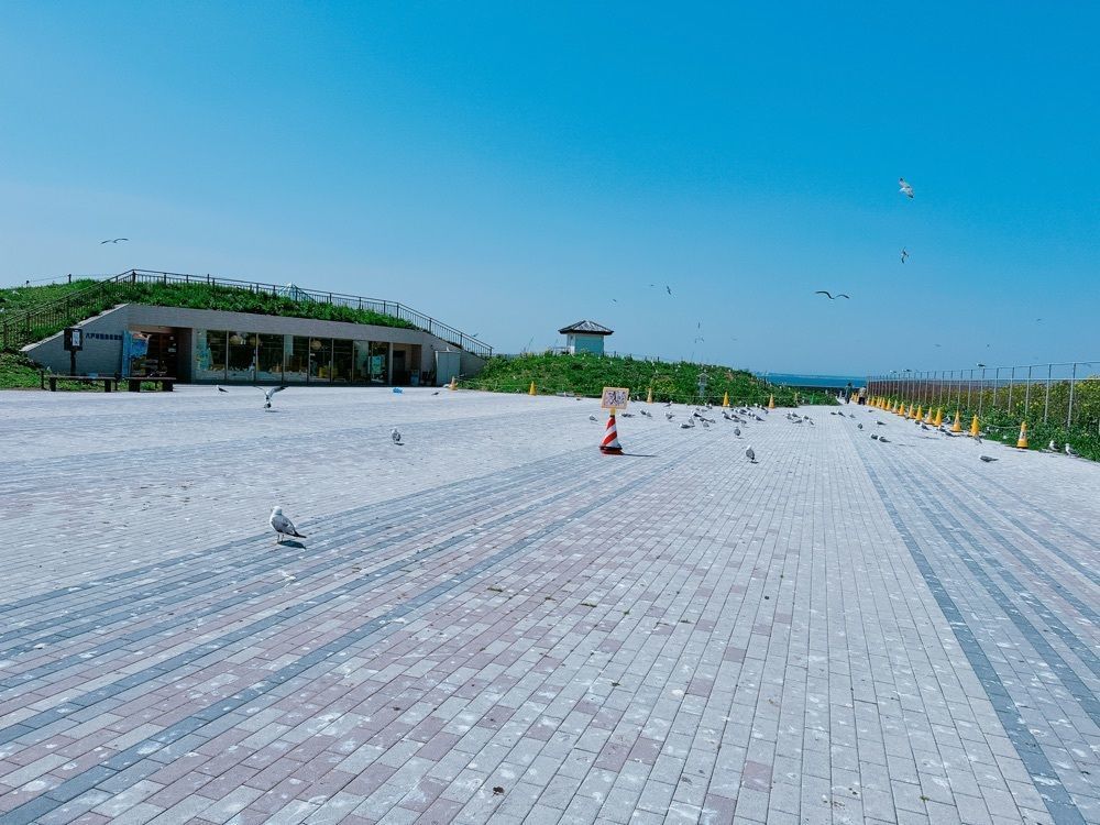 鉄道こまちさんが投稿した蕪島に関する口コミの画像