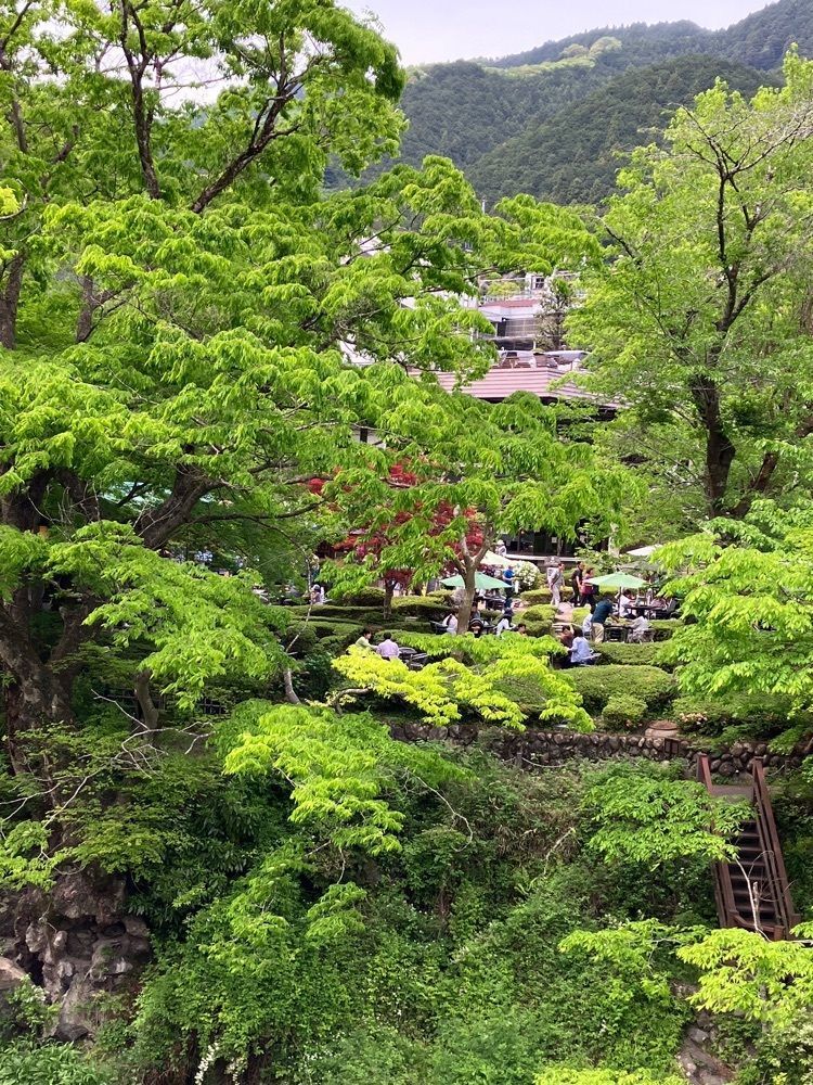 Nさんが投稿した澤乃井園　清流ガーデンに関する口コミの画像