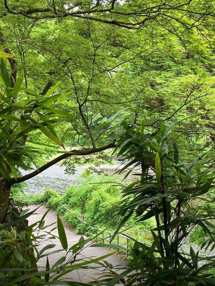 Nさんが投稿したCAFE 雫（しずく）に関する口コミの画像