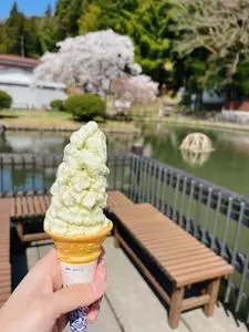 湯田川温泉郷