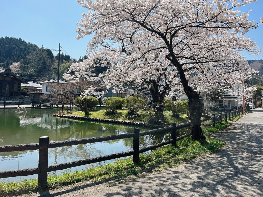 猫なぎ。さんが投稿した湯田川温泉郷に関する口コミの画像