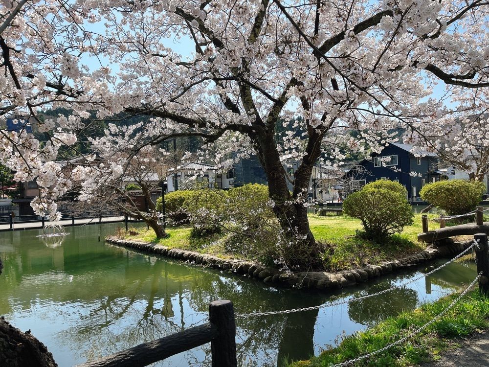 猫なぎ。さんが投稿した湯田川温泉郷に関する口コミの画像