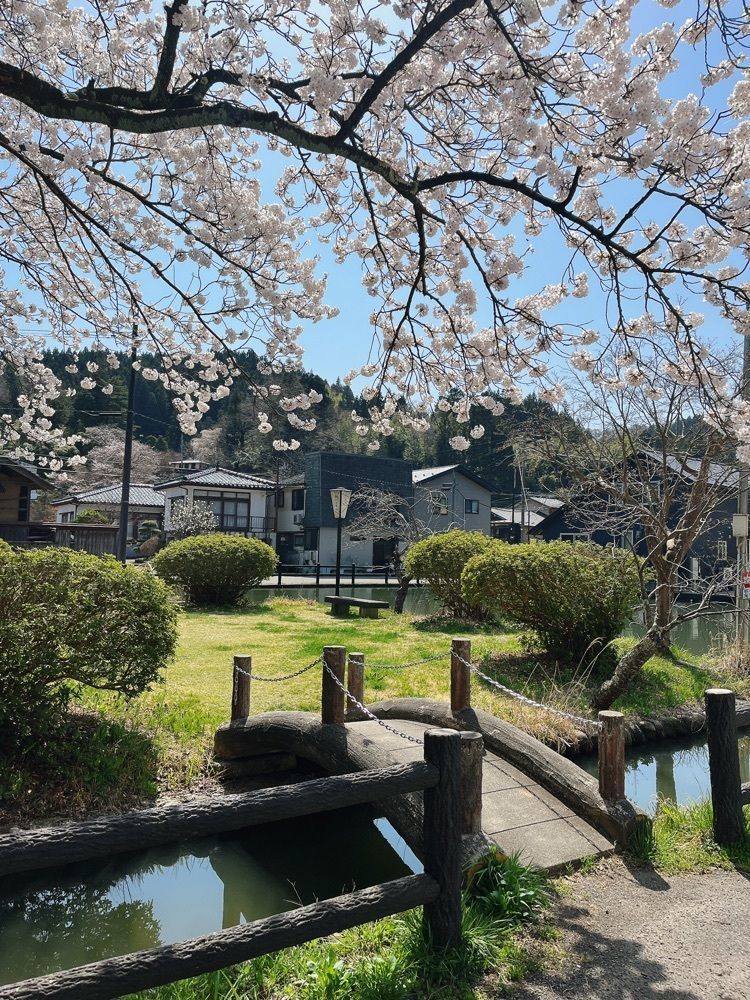 猫なぎ。さんが投稿した湯田川温泉郷に関する口コミの画像