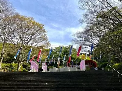 姫の沢公園のツツジ