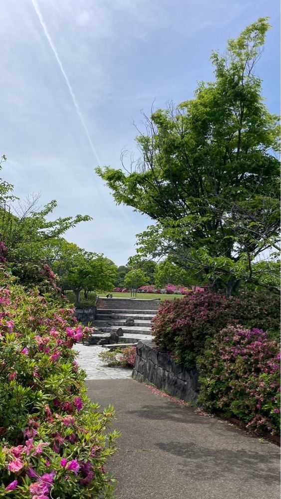 みぃさんが投稿した仏生山公園に関する口コミの画像