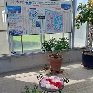 はな阿蘇美 観光農園