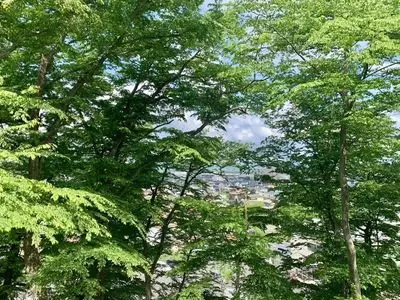 城山公園（栃木県佐野市）