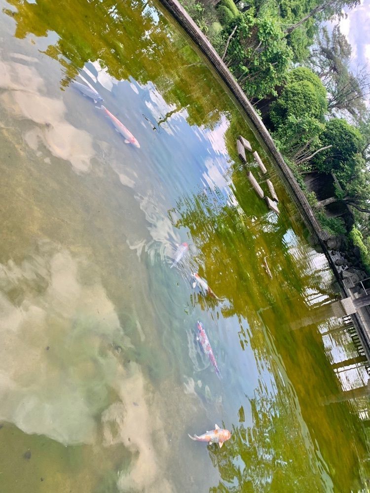 リトアニアの貴公子さんが投稿した城山公園（栃木県佐野市）に関する口コミの画像