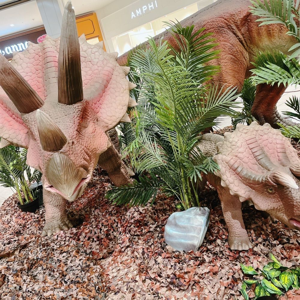 Danjouさんが投稿した果汁工房果琳 イオンモール京都桂川店（karin）に関する口コミの画像