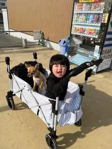 道の駅 おおさき