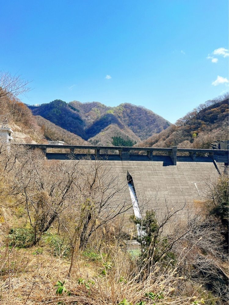 猫なぎ。さんが投稿した温海川渓谷に関する口コミの画像