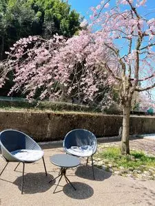 あつみ温泉温海川河畔桜並木