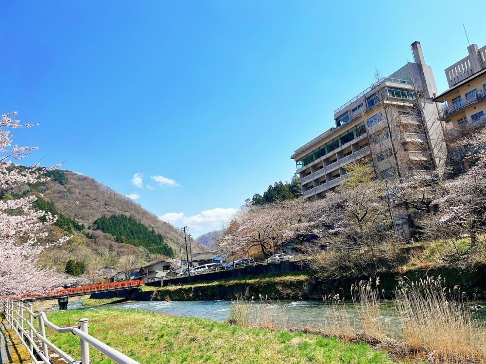 猫なぎ。さんが投稿したあつみ温泉温海川河畔桜並木に関する口コミの画像