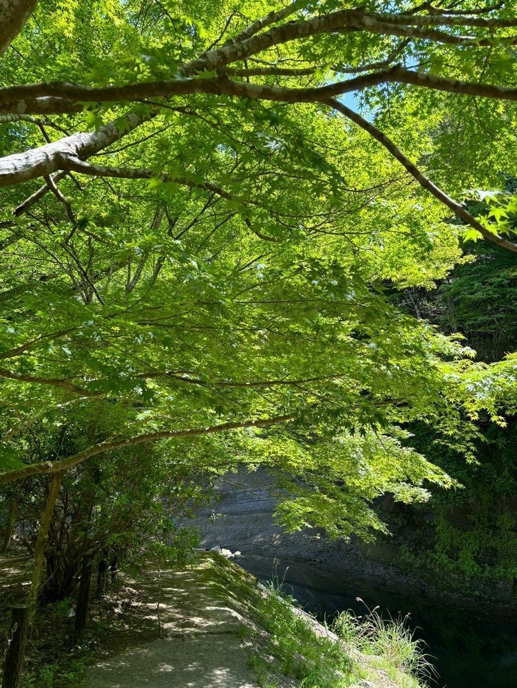 それなはとけさんが投稿した養老温泉　温泉旅館　川の家に関する口コミの画像