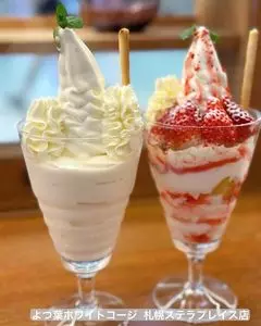 札幌ステラプレイス