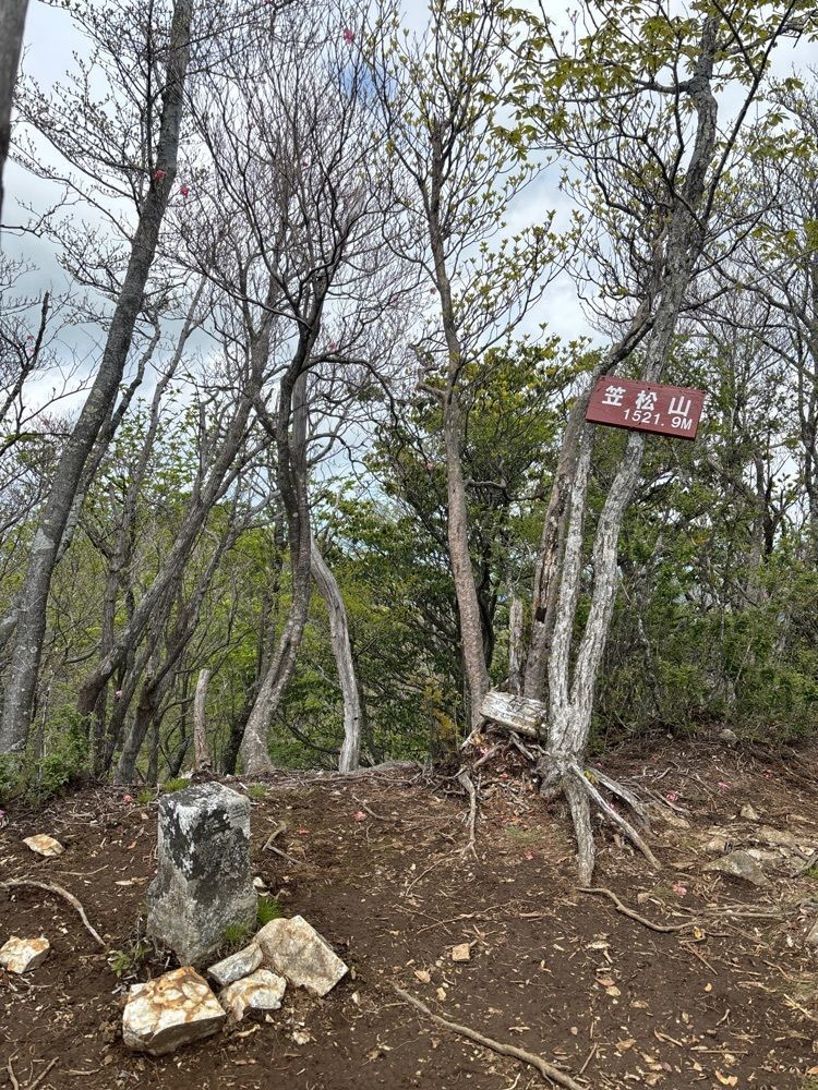 formal_cafeteria_8688さんが投稿した祖母山（宮崎県高千穂町）に関する口コミの画像