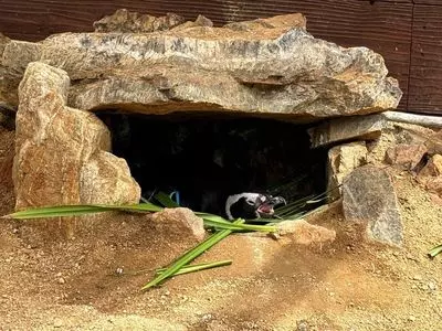 うみたま体験パーク「つくみイルカ島」