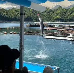 うみたま体験パーク「つくみイルカ島」 2枚目