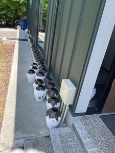 創意中華 茶房 桃花片 8枚目