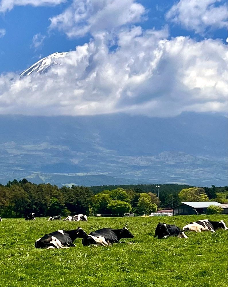 ビンカさんが投稿したハートランド朝霧（中島酪農場）に関する口コミの画像