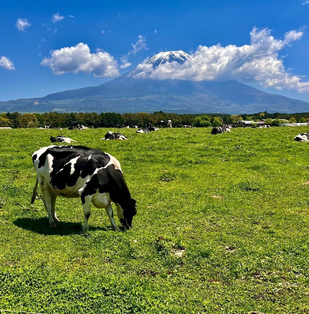ビンカさんが投稿したハートランド朝霧（中島酪農場）に関する口コミの画像