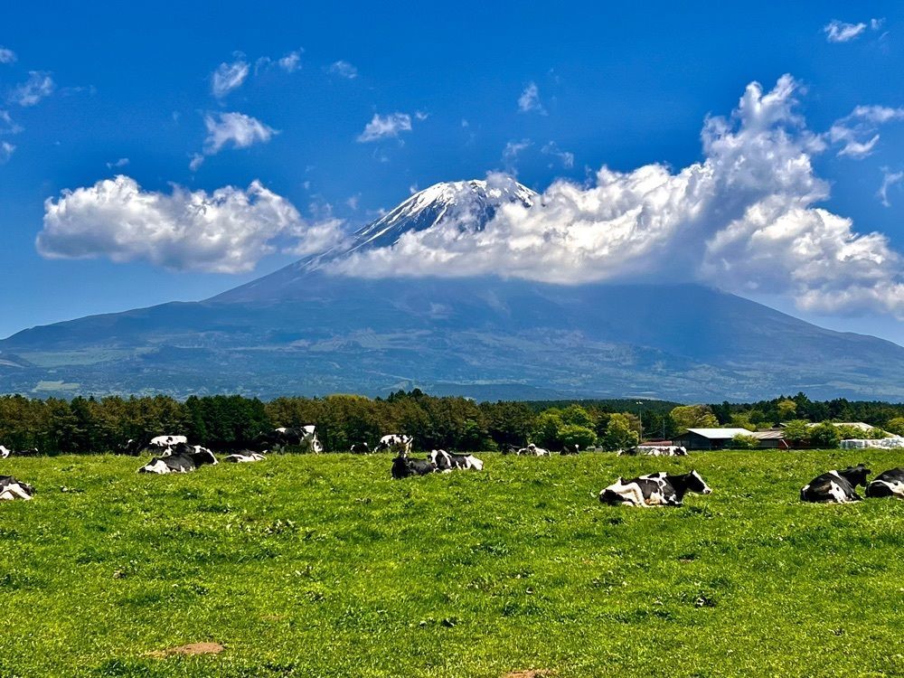 ビンカさんが投稿したハートランド朝霧（中島酪農場）に関する口コミの画像