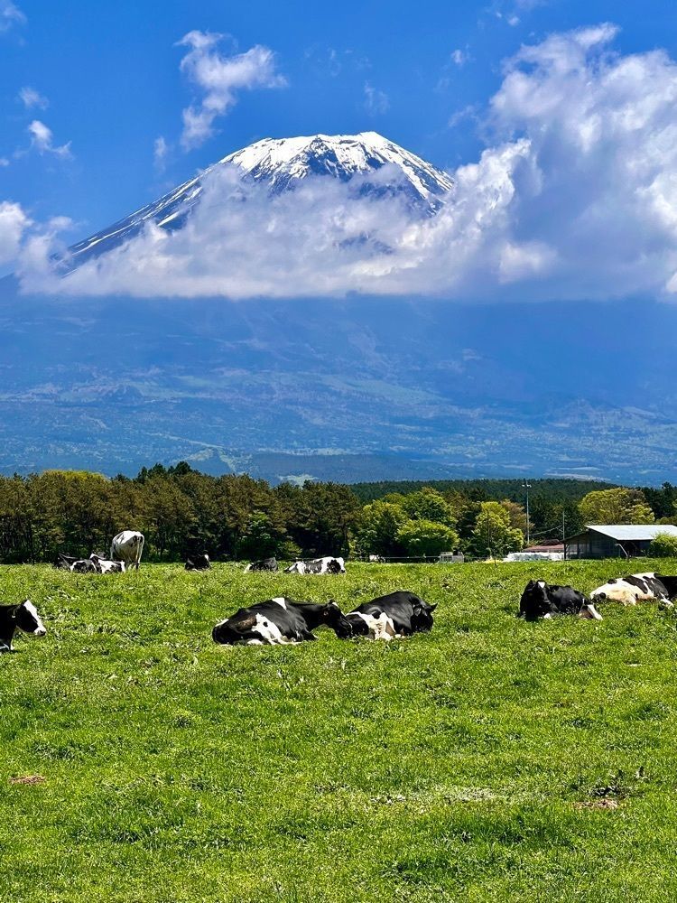 ビンカさんが投稿したハートランド朝霧（中島酪農場）に関する口コミの画像