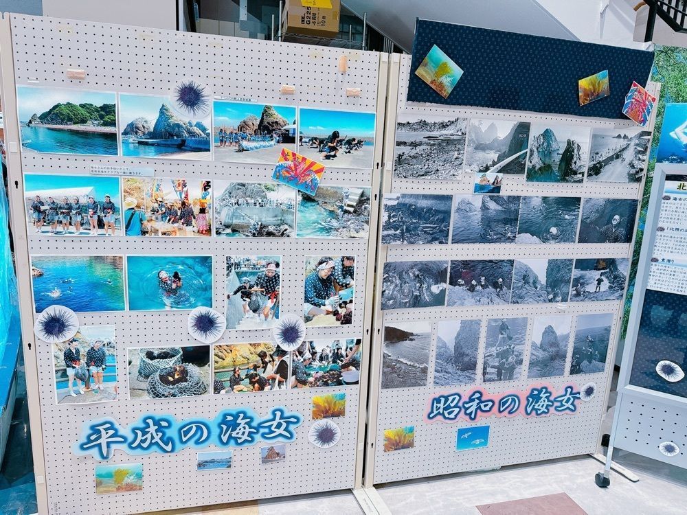 鉄道こまちさんが投稿した道の駅くじやませ土風館（土の館）に関する口コミの画像