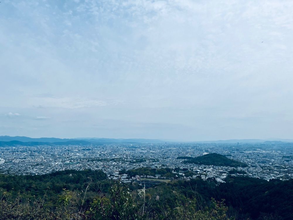 Merryさんが投稿した仁和寺の桜に関する口コミの画像