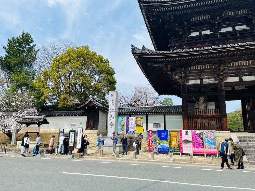 Merryさんが投稿した仁和寺の桜に関する口コミの画像