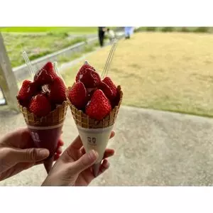 あさむらいちご園