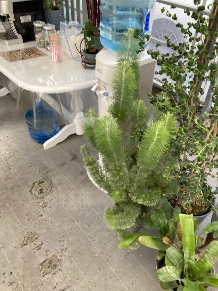 kemiさんが投稿したいちごファームkumagayaに関する口コミの画像