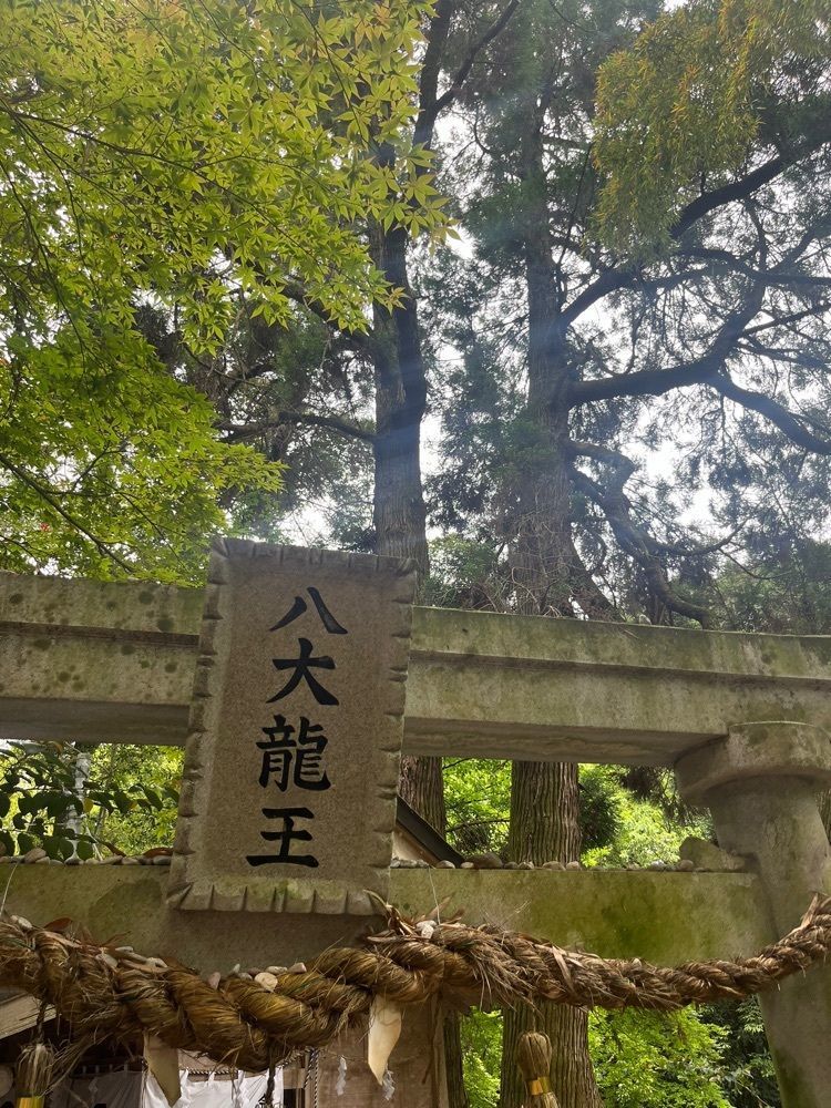 ponponao②さんが投稿した龍龍館に関する口コミの画像