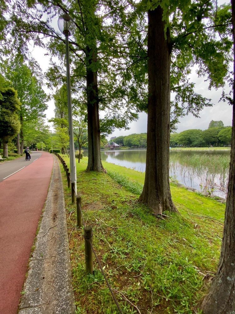 mariさんが投稿した洞峰公園に関する口コミの画像