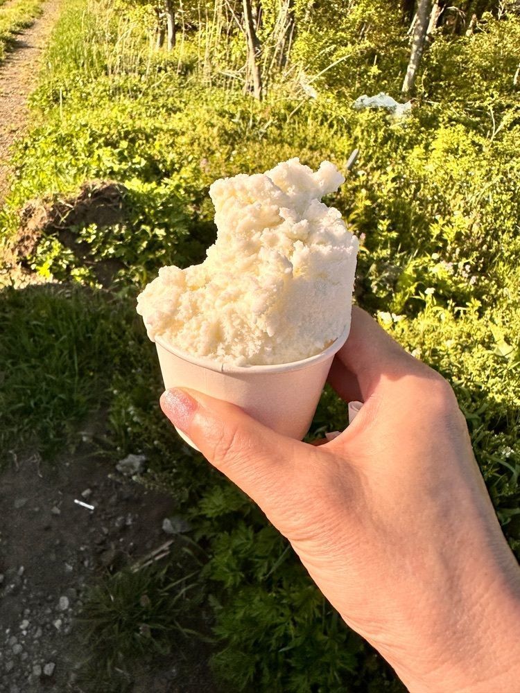 かめ_メグミさんが投稿した牧場カフェ「ダイゴ」に関する口コミの画像