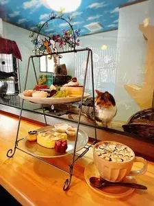 でずぼCafe（でずぼカフェ）