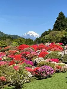 山のホテル庭園