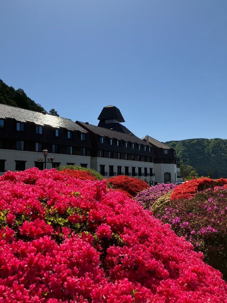 Nさんが投稿した山のホテル庭園に関する口コミの画像