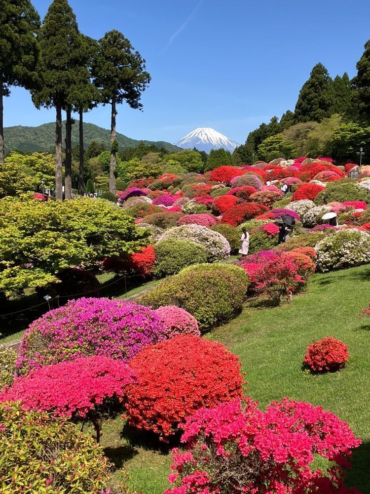 Nさんが投稿した山のホテル庭園に関する口コミの画像