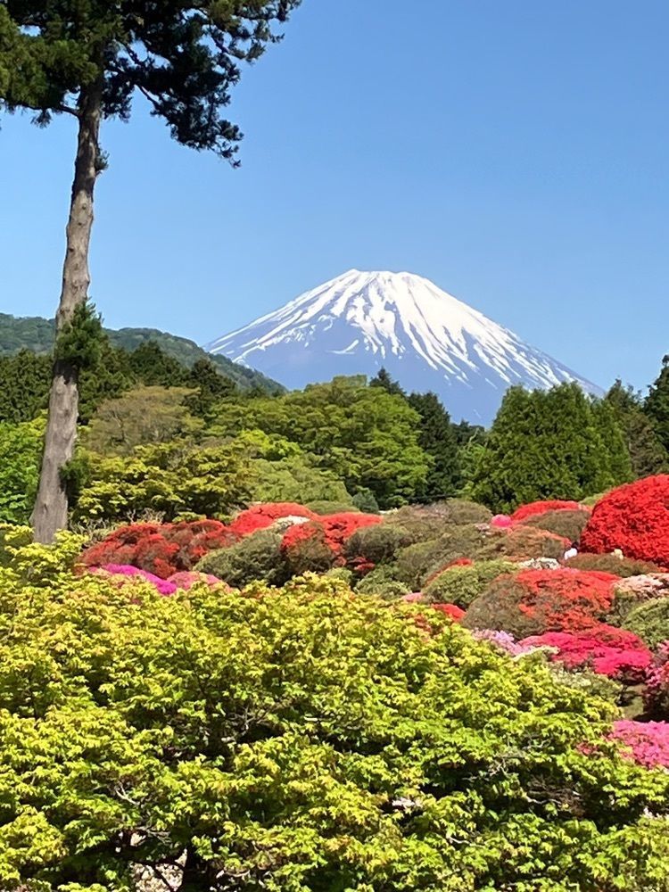 Nさんが投稿した山のホテル庭園に関する口コミの画像