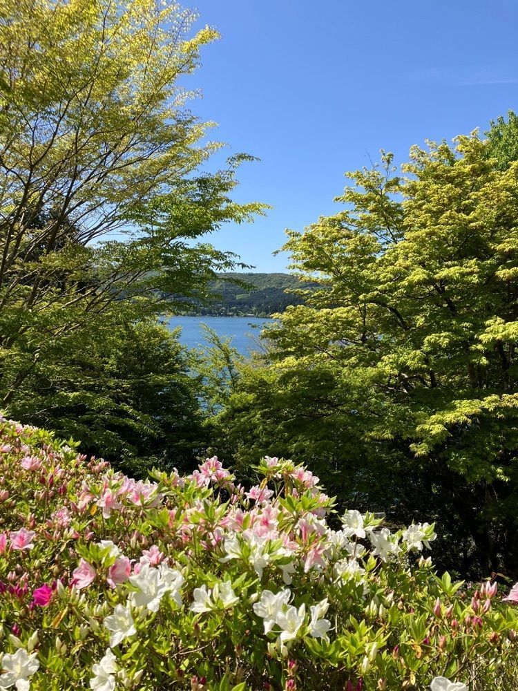 Nさんが投稿した山のホテル庭園に関する口コミの画像