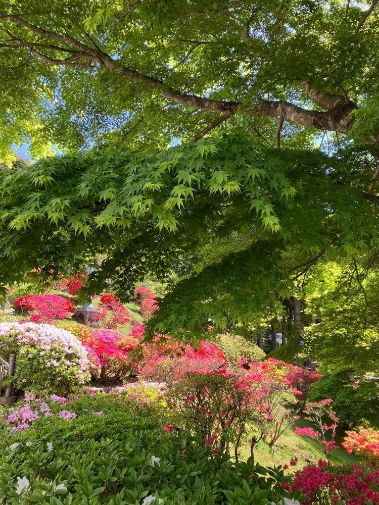 Nさんが投稿した山のホテル庭園に関する口コミの画像
