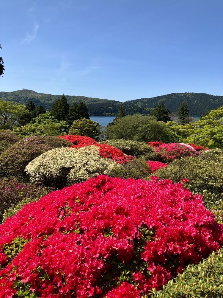 Nさんが投稿した山のホテル庭園に関する口コミの画像