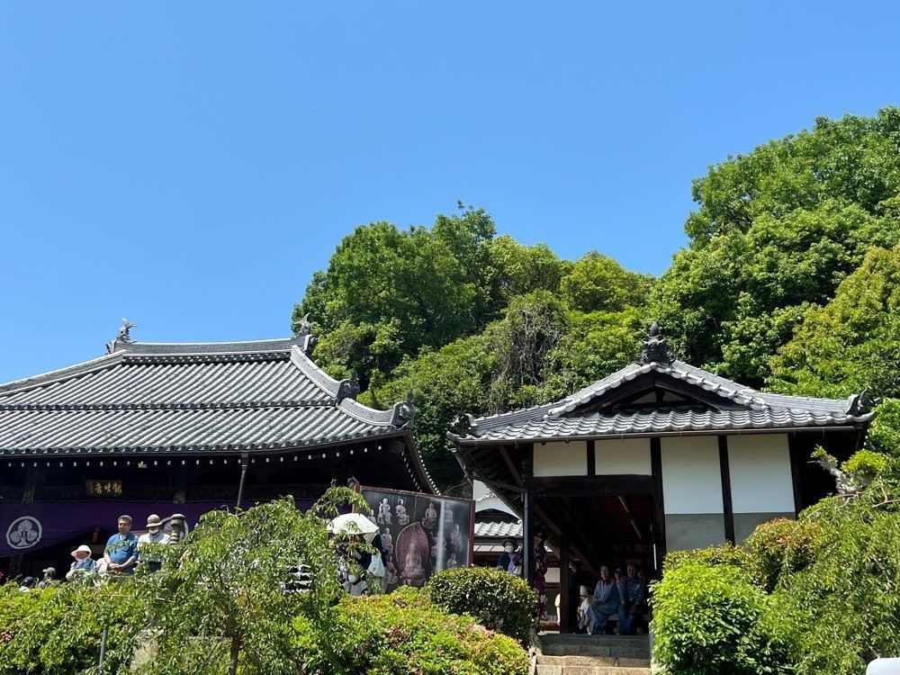 himbaさんが投稿した野崎観音（慈眼寺）に関する口コミの画像