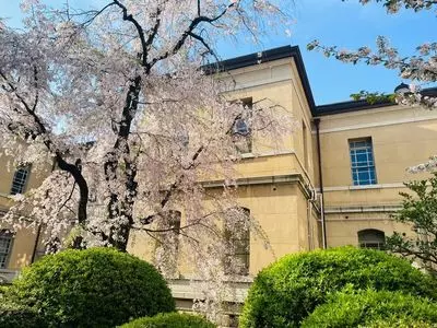 salon de 1904（サロン ド イチキュウゼロヨン）