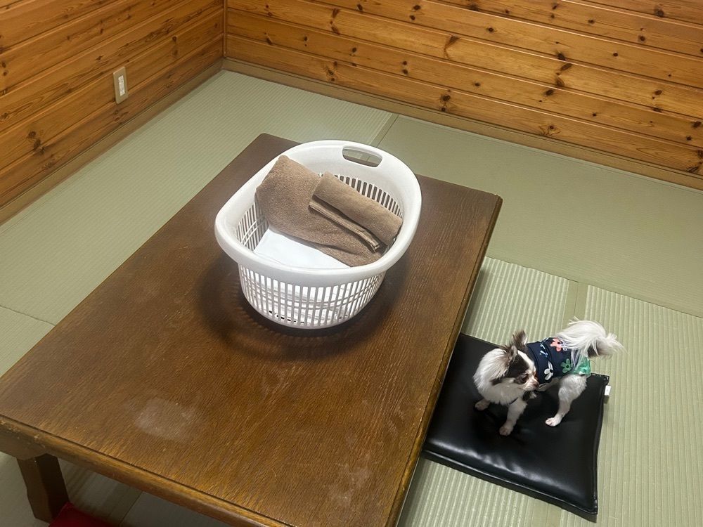 _ayu.0629_さんが投稿したＨｏｔｅｌ　Ｒｅｓｔａ（ホテル　レスタ）に関する口コミの画像