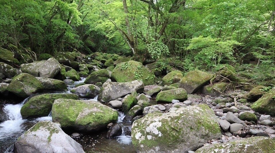 天邪鬼さんが投稿したマゼノ渓谷に関する口コミの画像