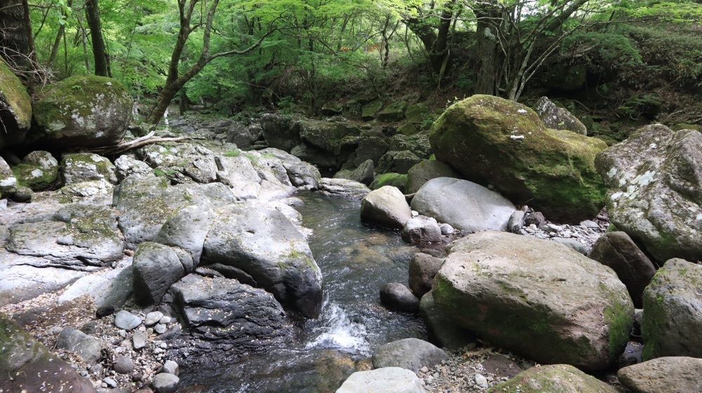 天邪鬼さんが投稿したマゼノ渓谷に関する口コミの画像