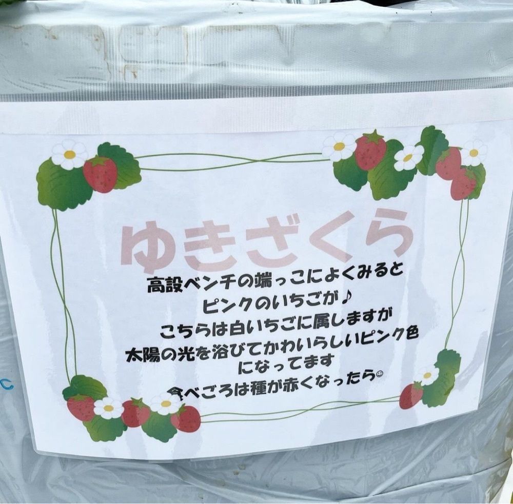 kaze_gourmetさんが投稿した村上いちご園に関する口コミの画像